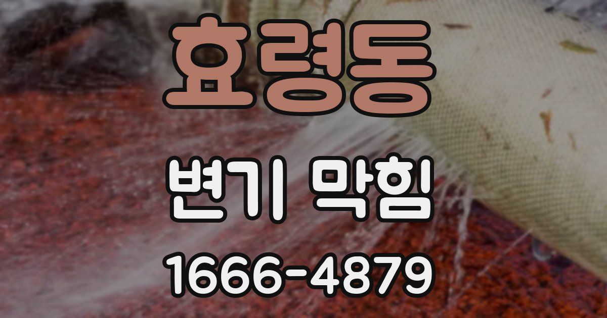 효령동 변기 막힘
