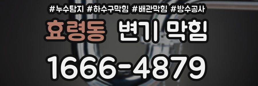 효령동 변기 막힘