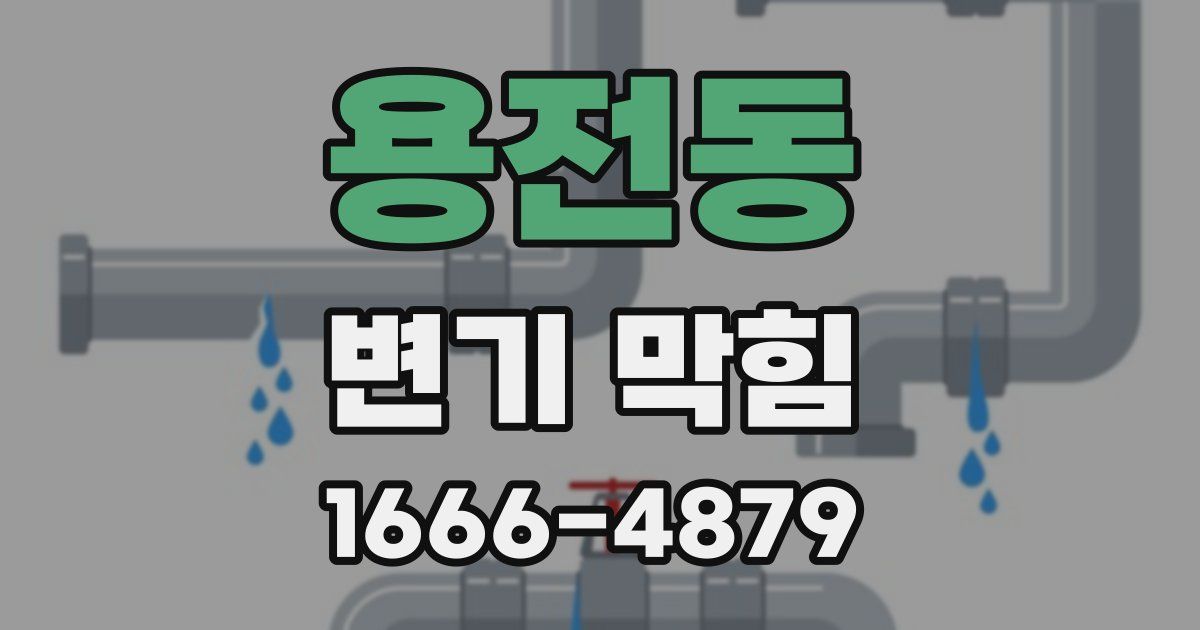용전동 변기 막힘
