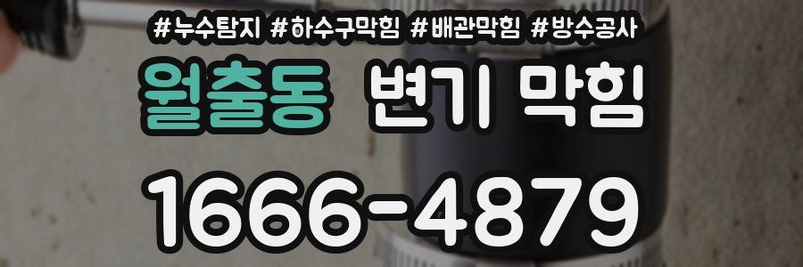 월출동 변기 막힘