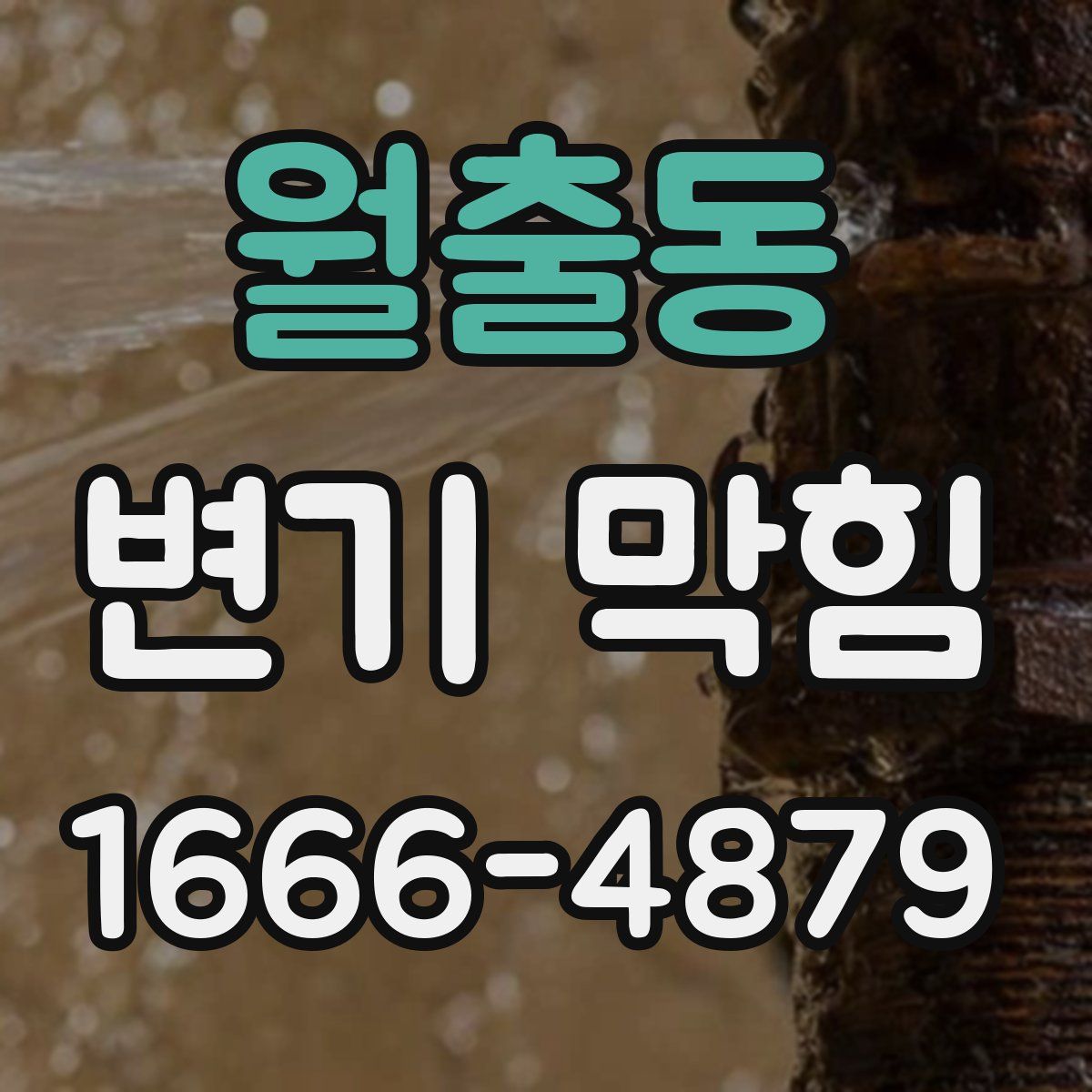 월출동 변기 막힘