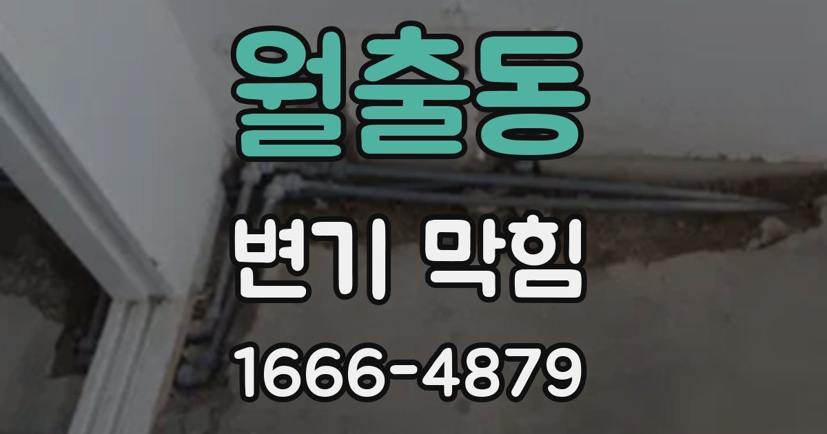 월출동 변기 막힘