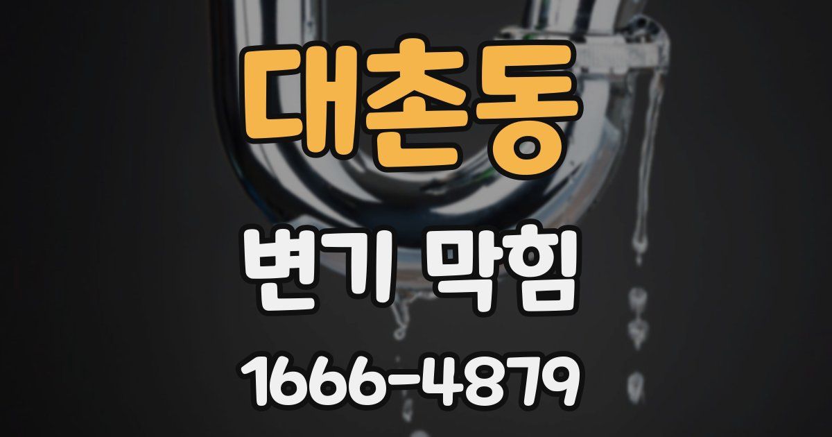 대촌동 변기 막힘