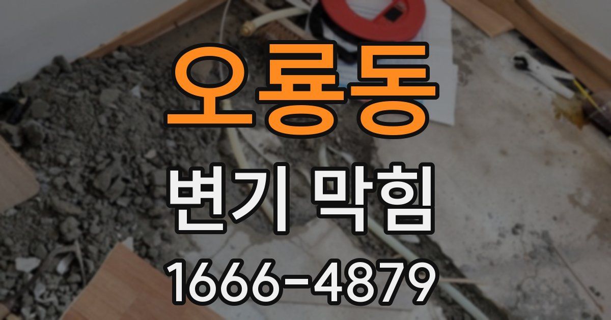 오룡동 변기 막힘