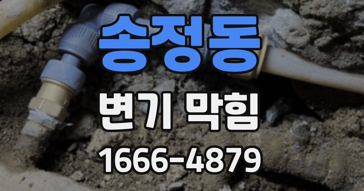 송정동 변기 막힘