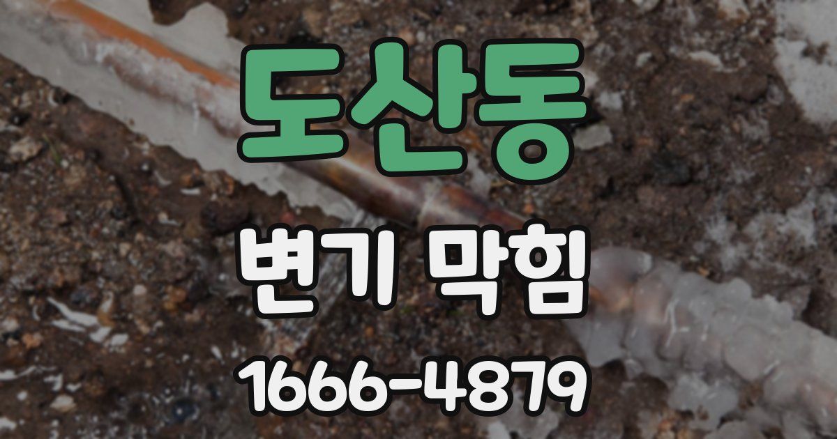 도산동 변기 막힘