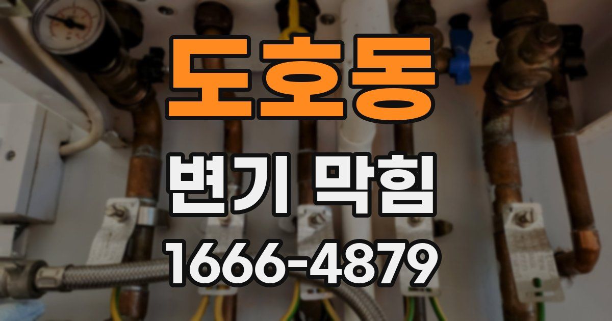 도호동 변기 막힘