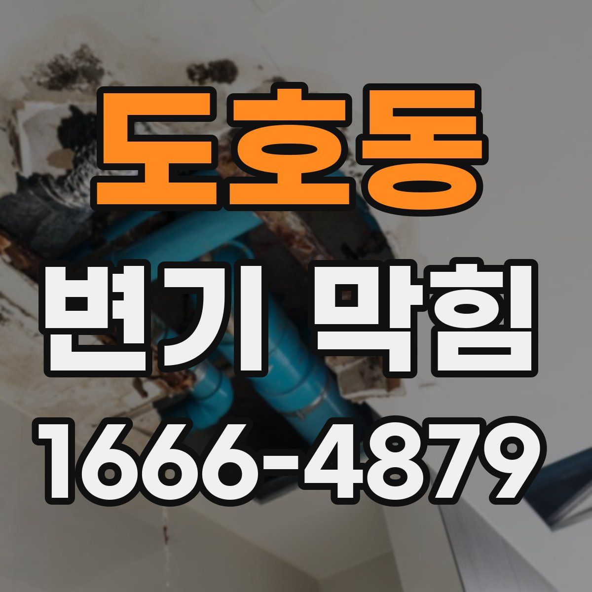 도호동 변기 막힘