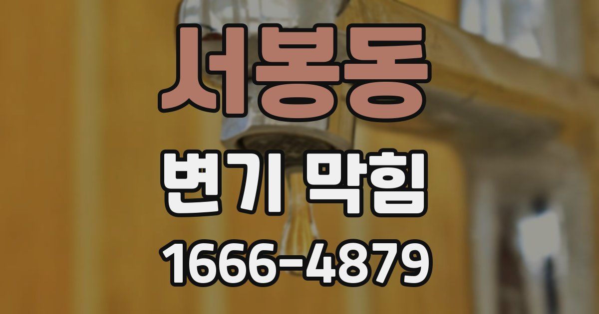 서봉동 변기 막힘