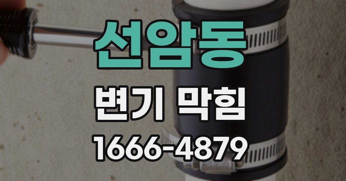선암동 변기 막힘