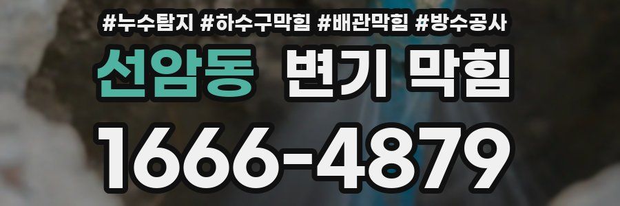 선암동 변기 막힘