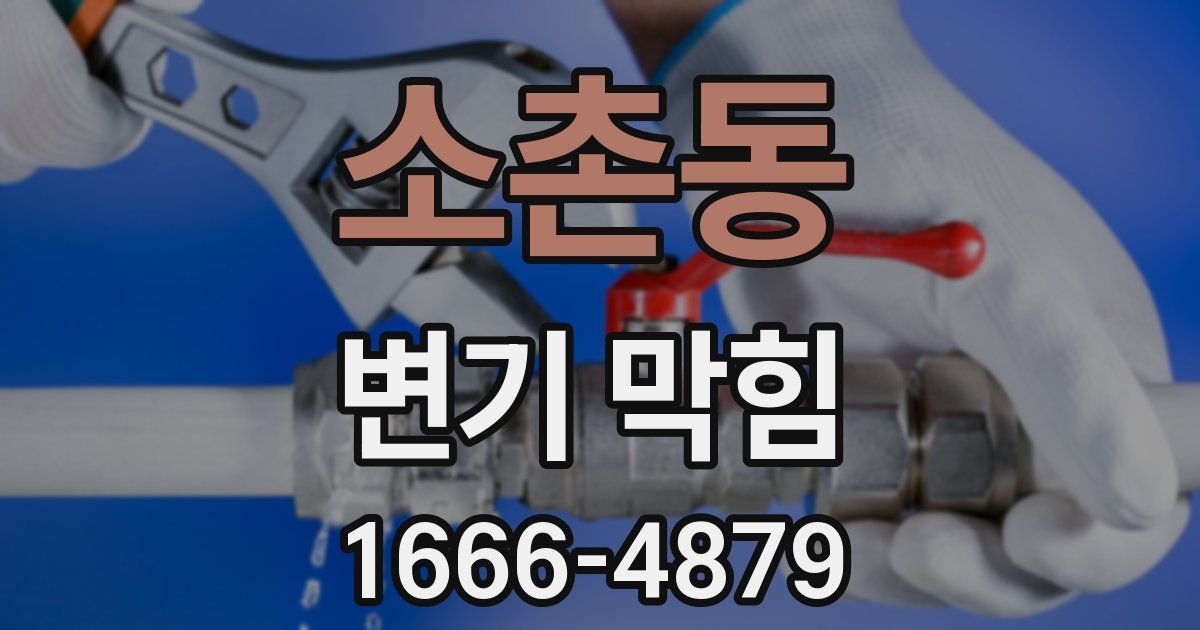 소촌동 변기 막힘