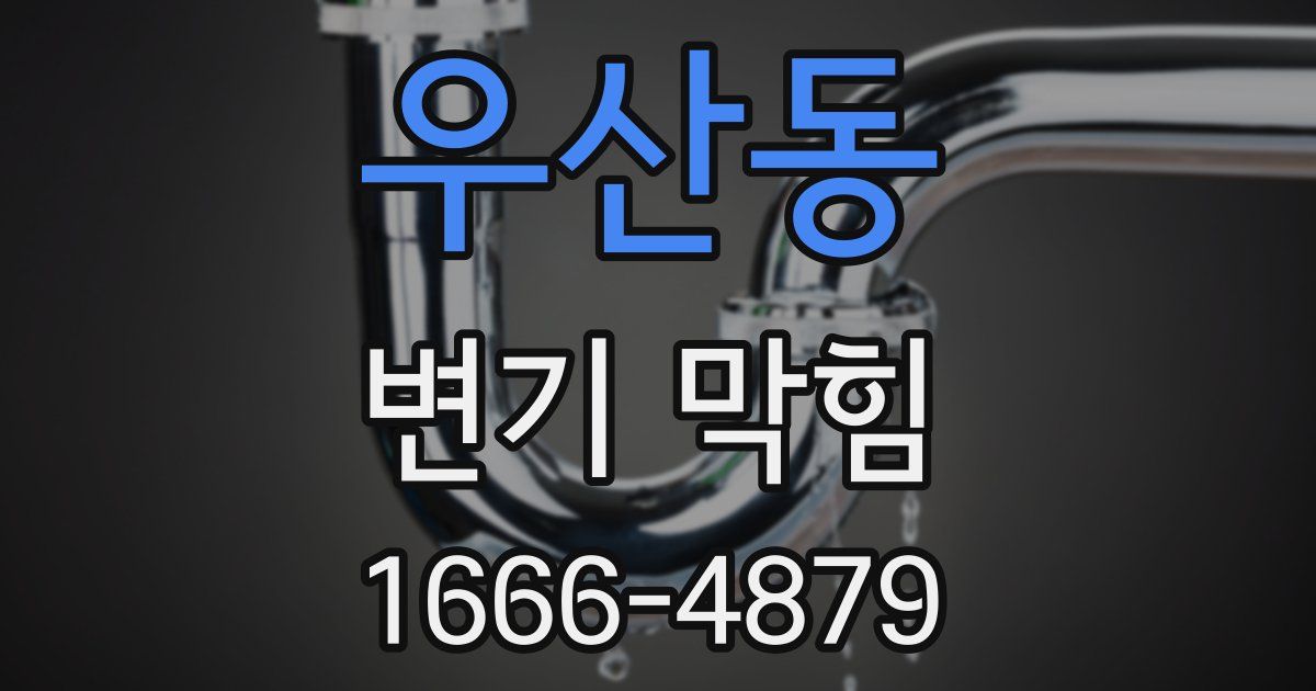 우산동 변기 막힘
