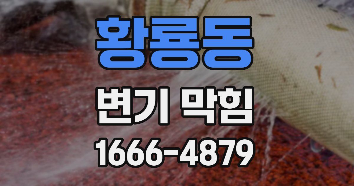 황룡동 변기 막힘