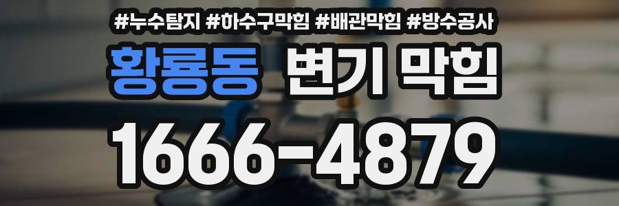 황룡동 변기 막힘