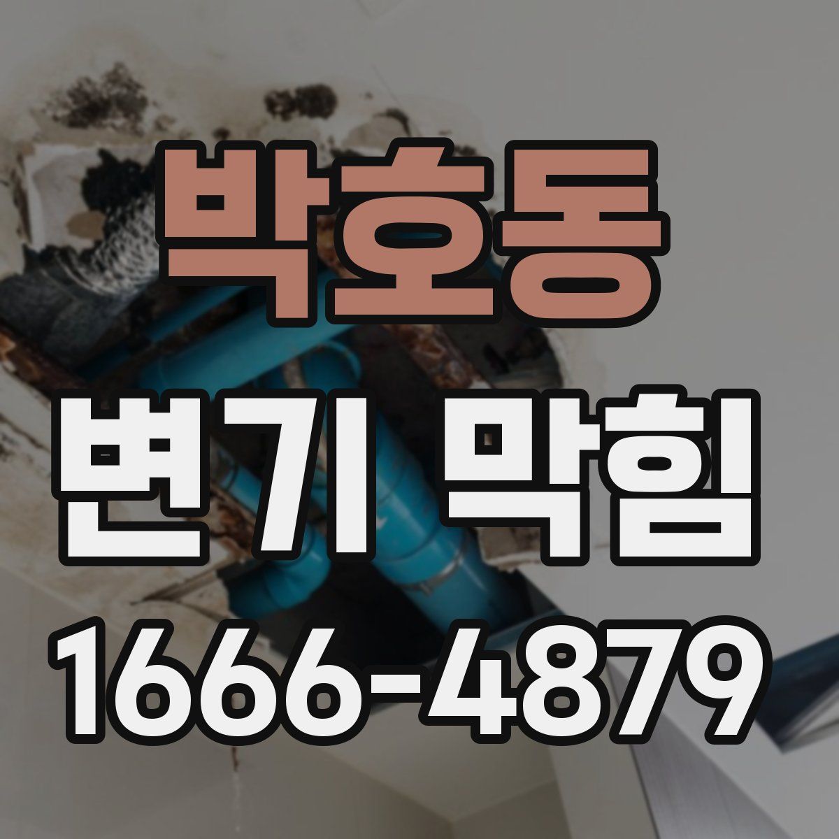 박호동 변기 막힘