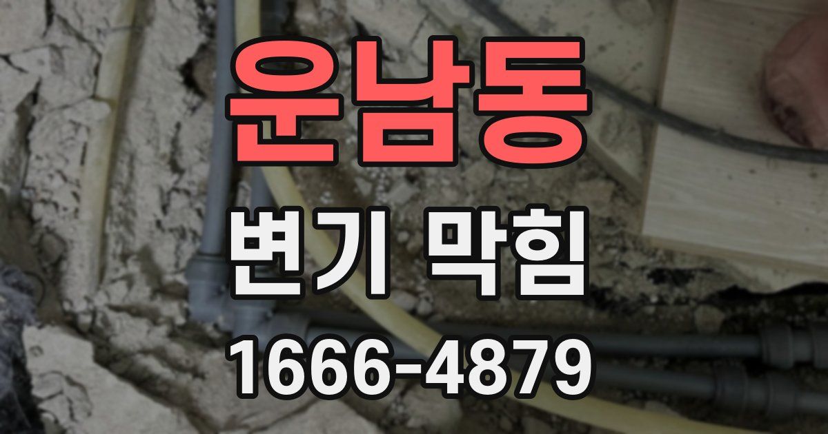 운남동 변기 막힘