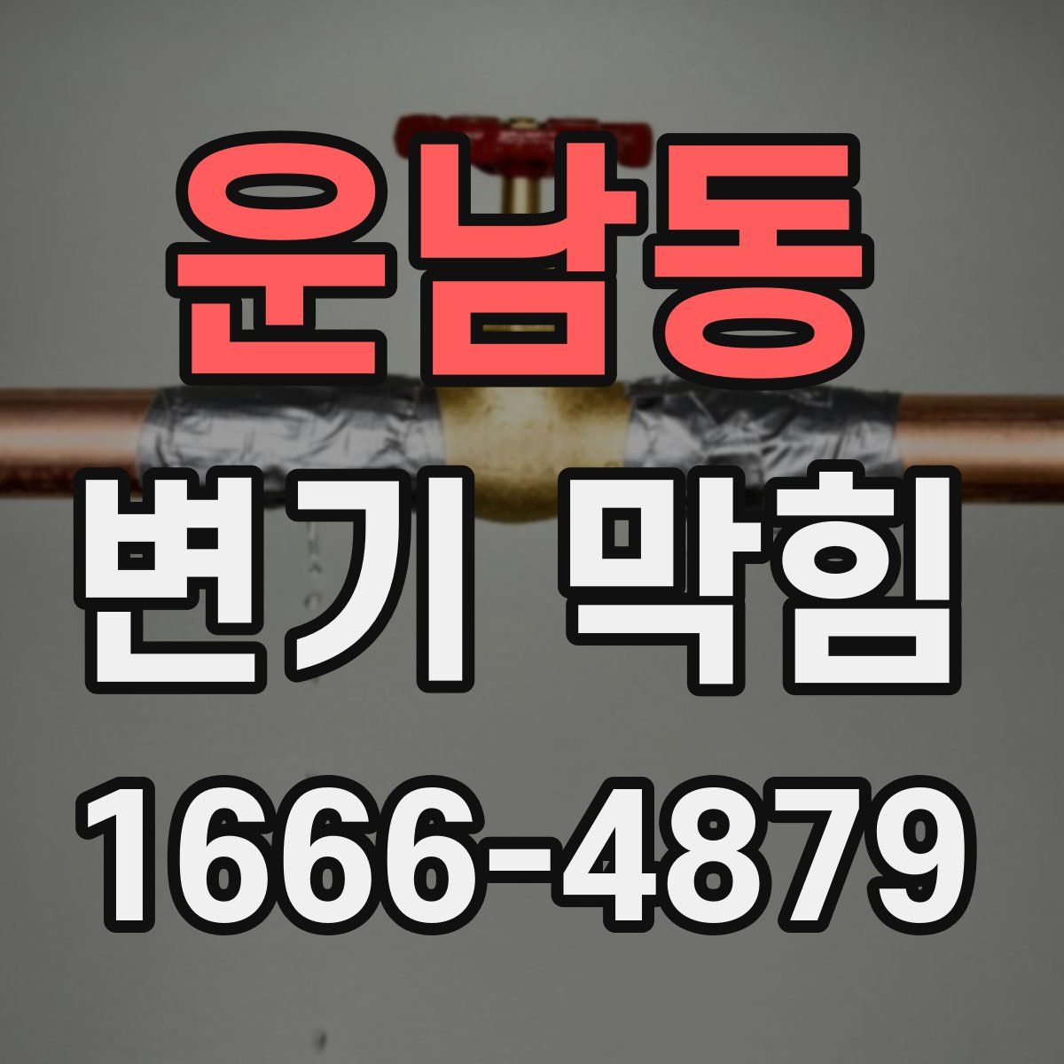 운남동 변기 막힘