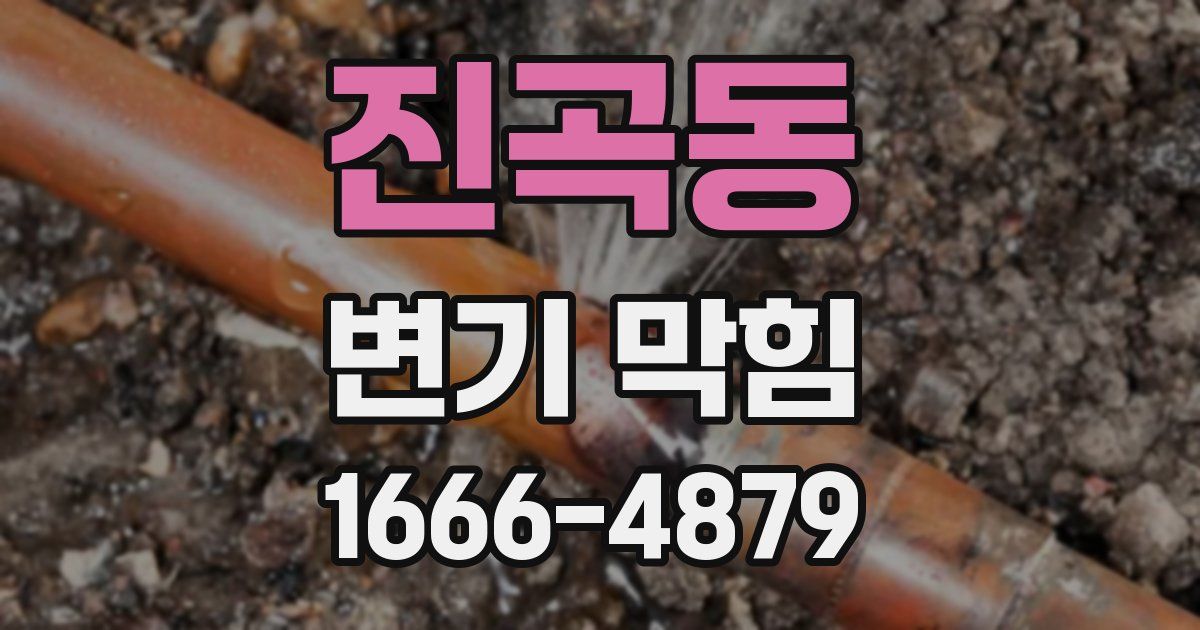 진곡동 변기 막힘