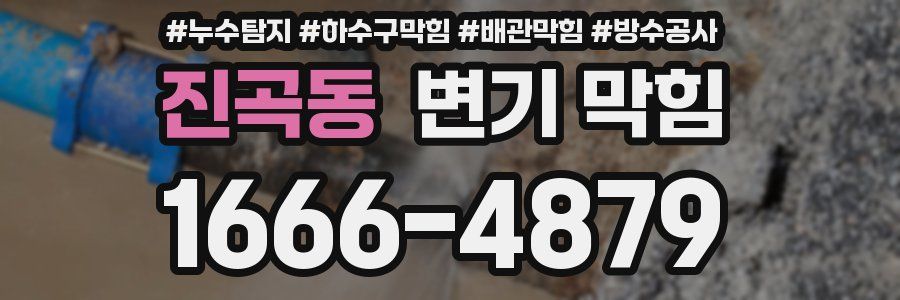 진곡동 변기 막힘
