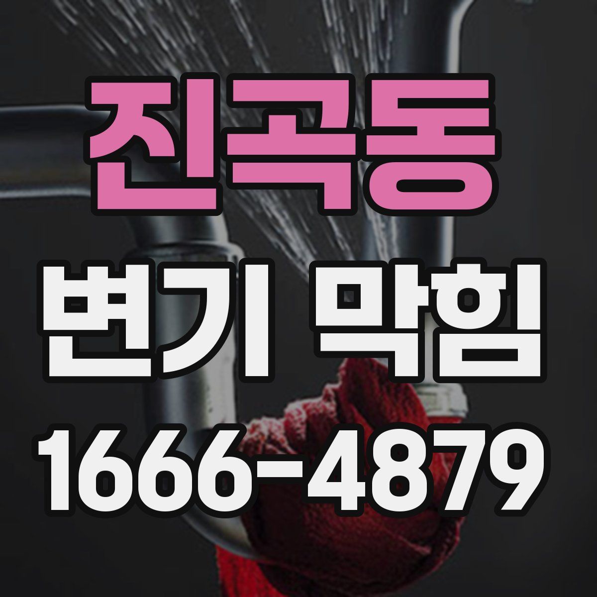 진곡동 변기 막힘