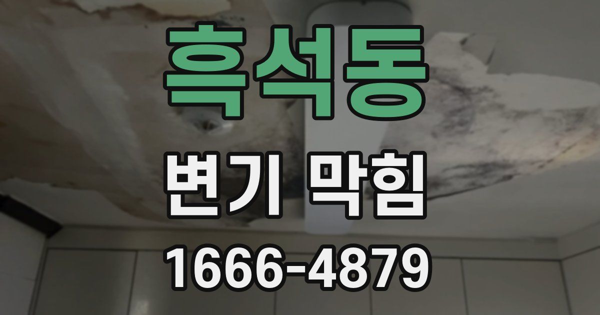 흑석동 변기 막힘