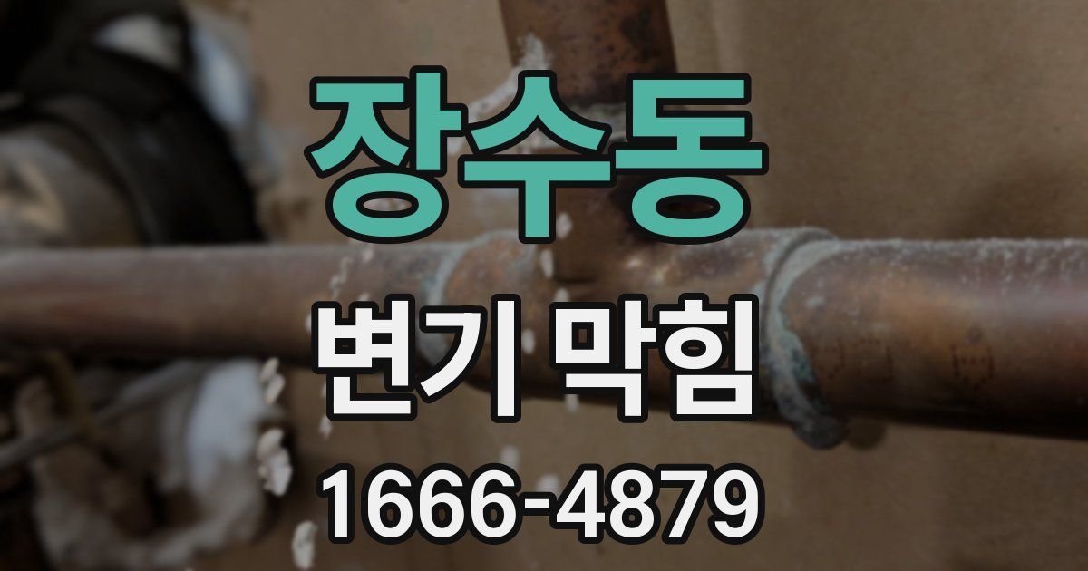 장수동 변기 막힘