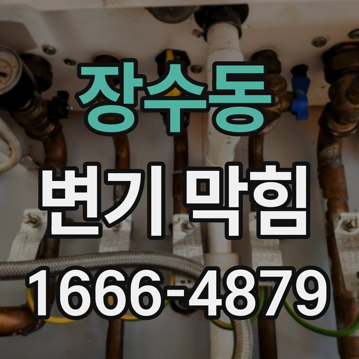 장수동 변기 막힘