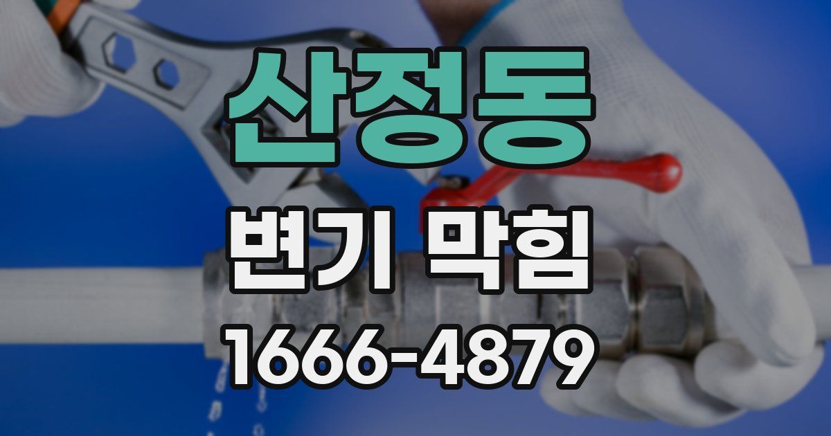 산정동 변기 막힘