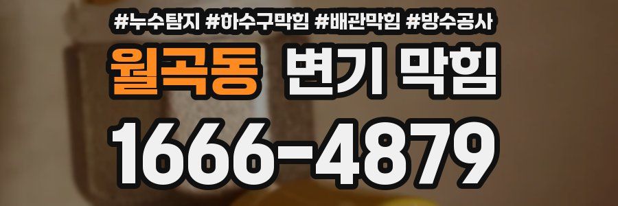 월곡동 변기 막힘