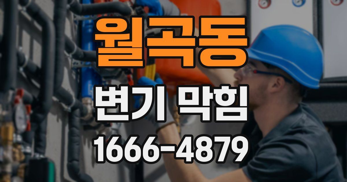 월곡동 변기 막힘