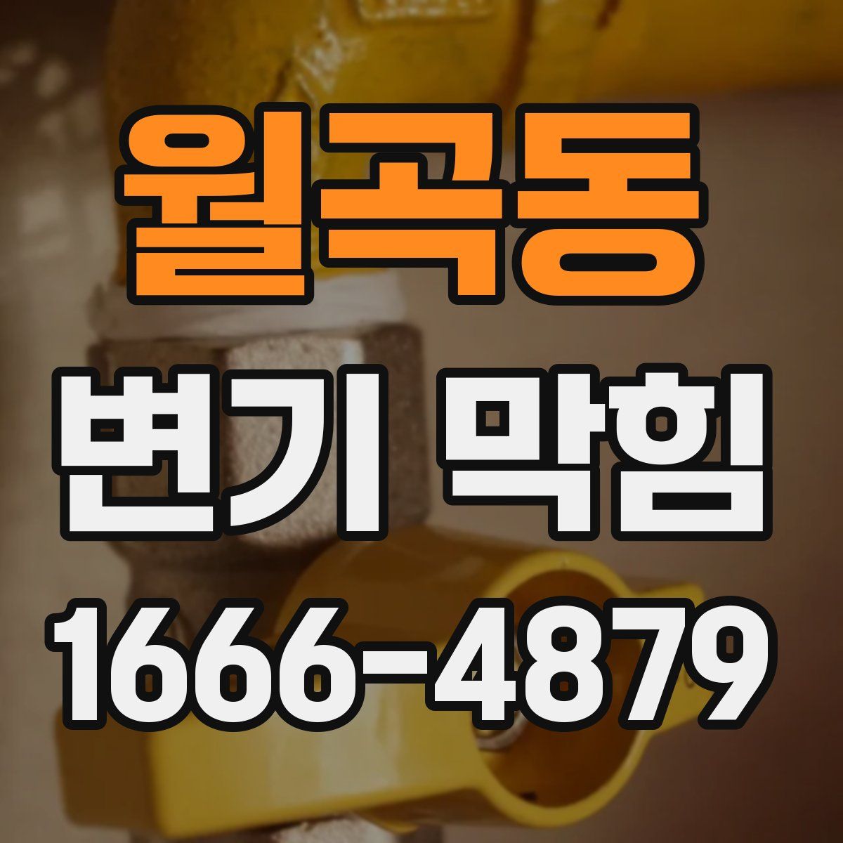 월곡동 변기 막힘