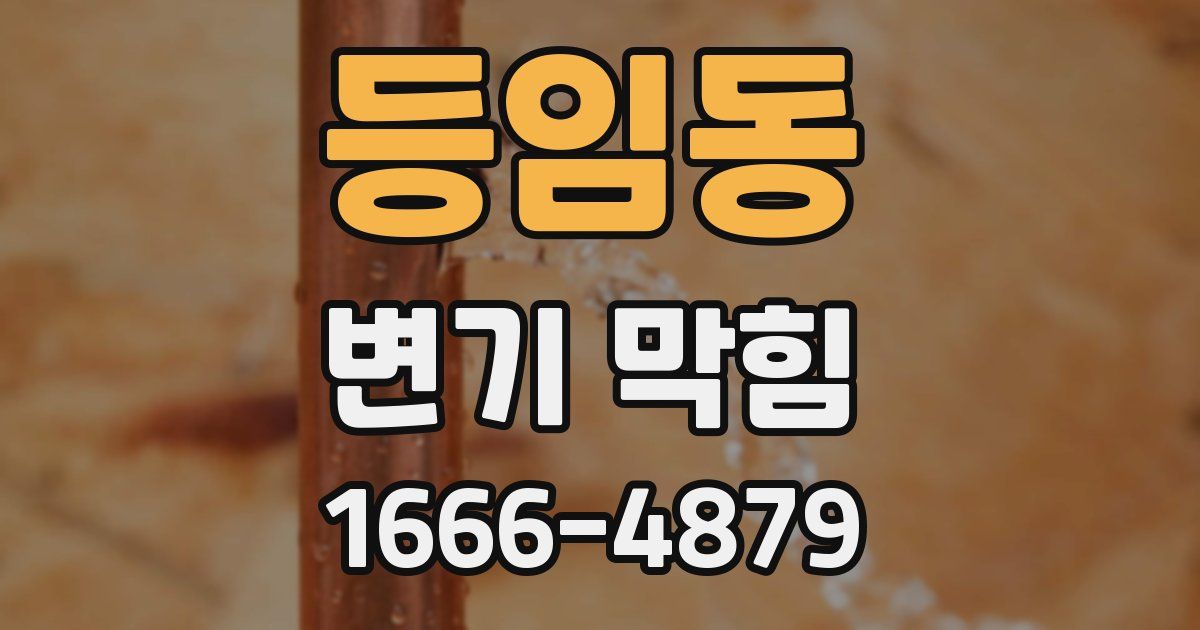 등임동 변기 막힘