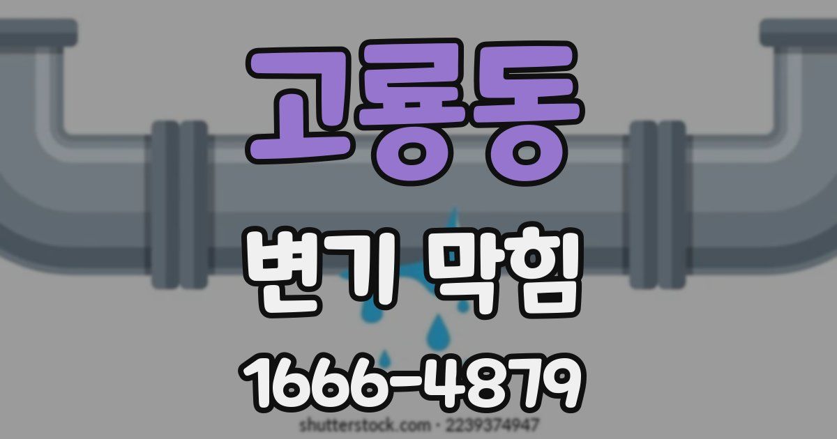 고룡동 변기 막힘