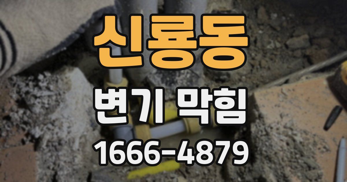 신룡동 변기 막힘