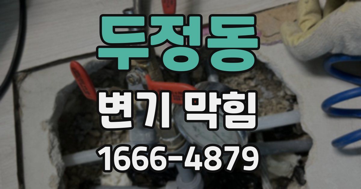 두정동 변기 막힘
