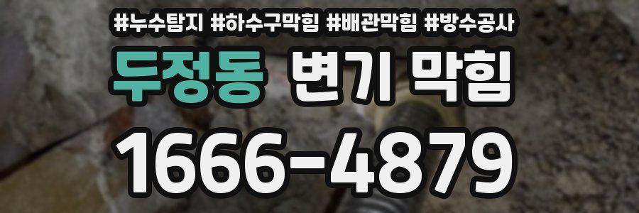 두정동 변기 막힘