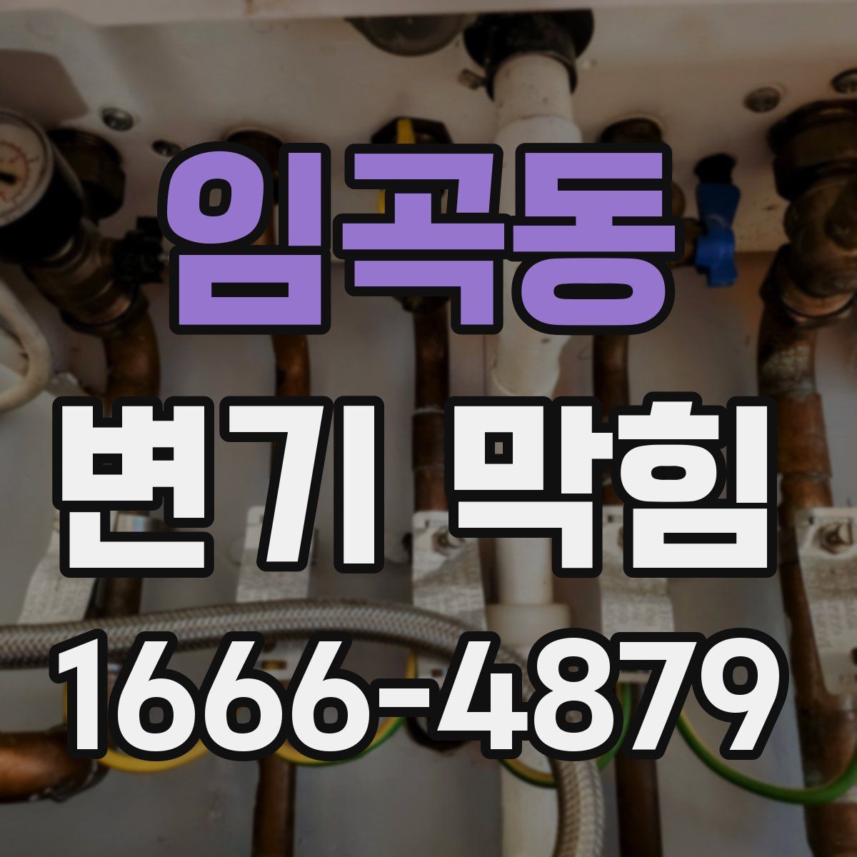임곡동 변기 막힘