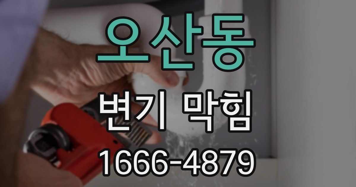 오산동 변기 막힘