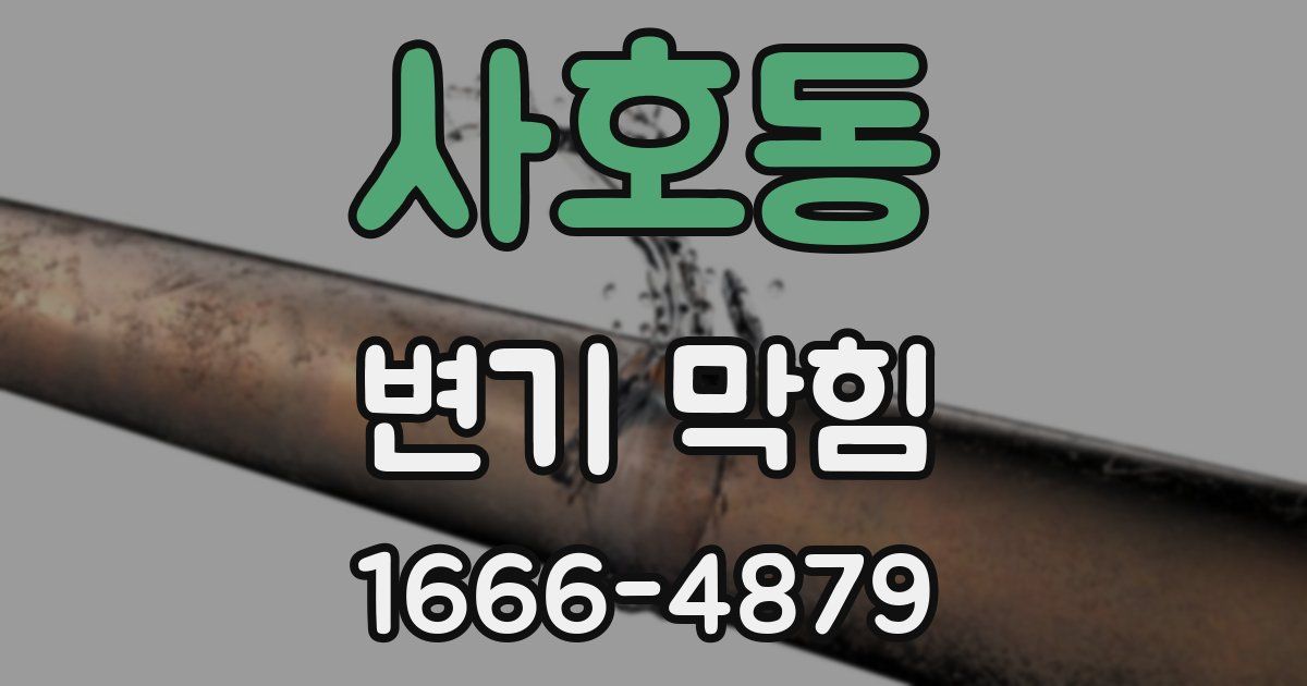 사호동 변기 막힘
