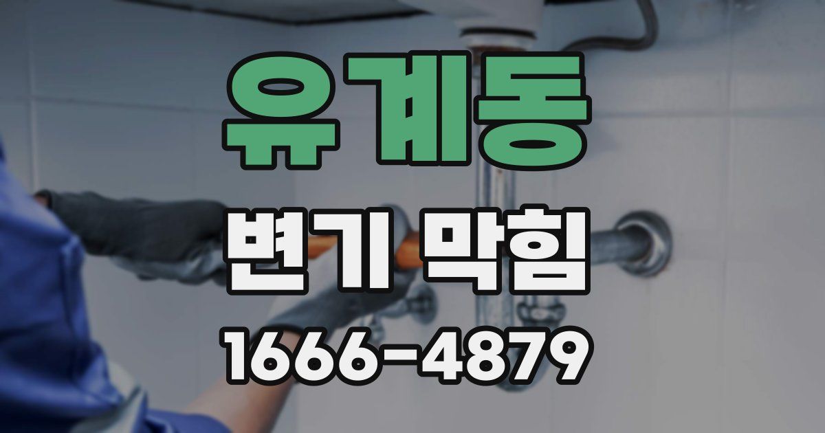 유계동 변기 막힘