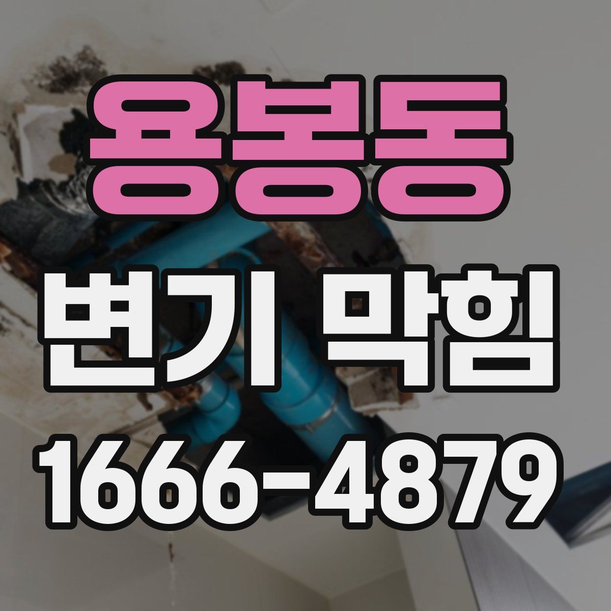 용봉동 변기 막힘