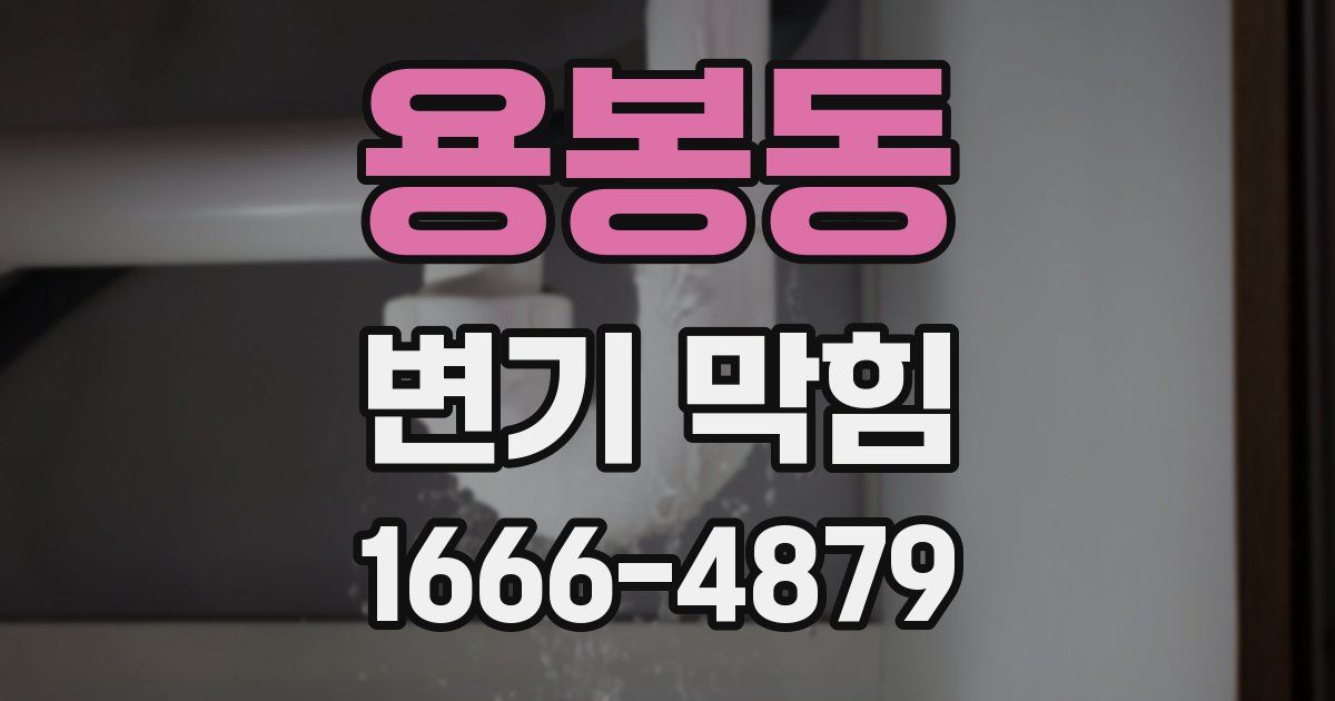 용봉동 변기 막힘