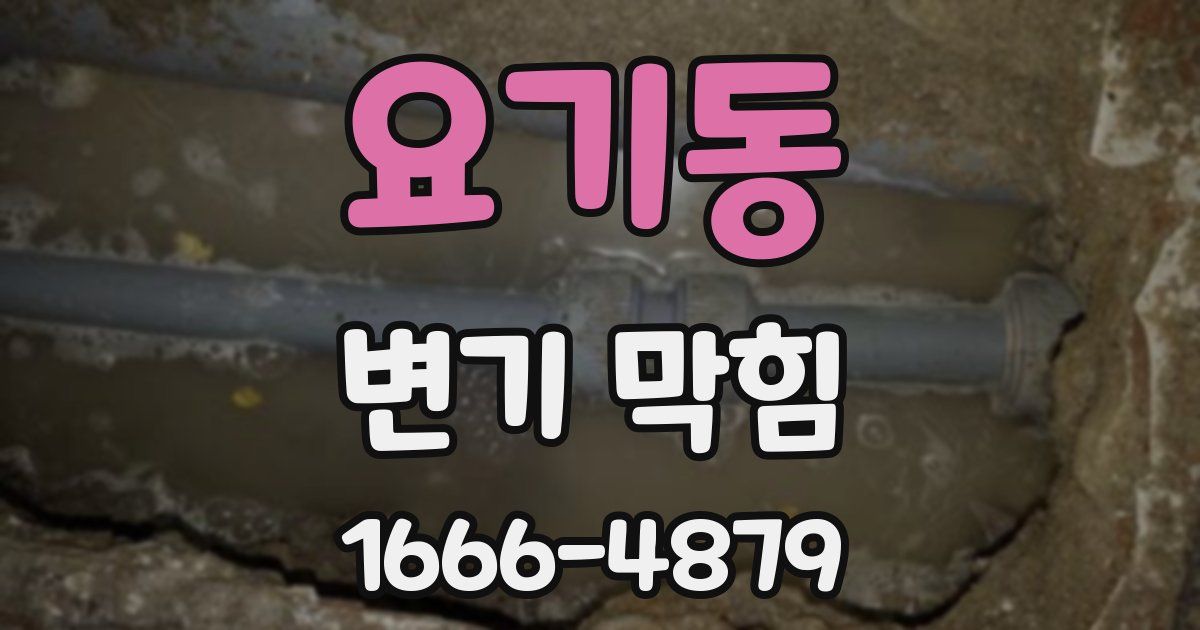 요기동 변기 막힘