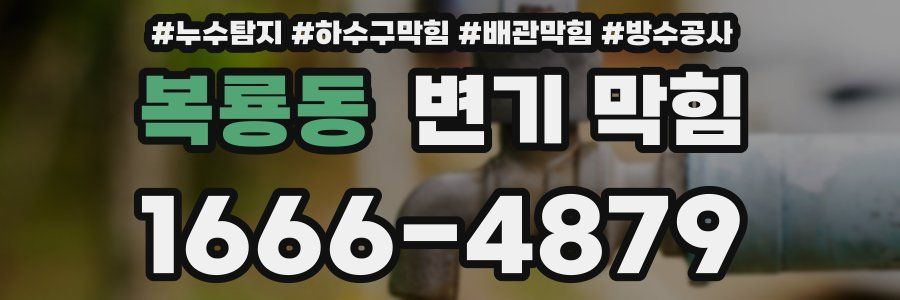 복룡동 변기 막힘