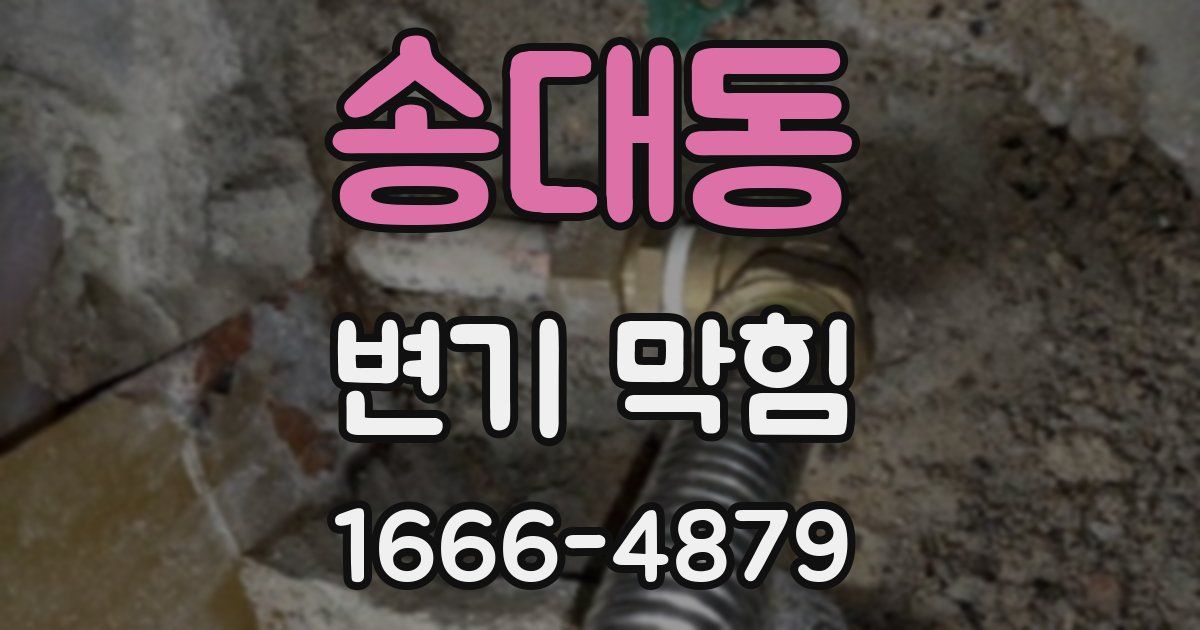 송대동 변기 막힘
