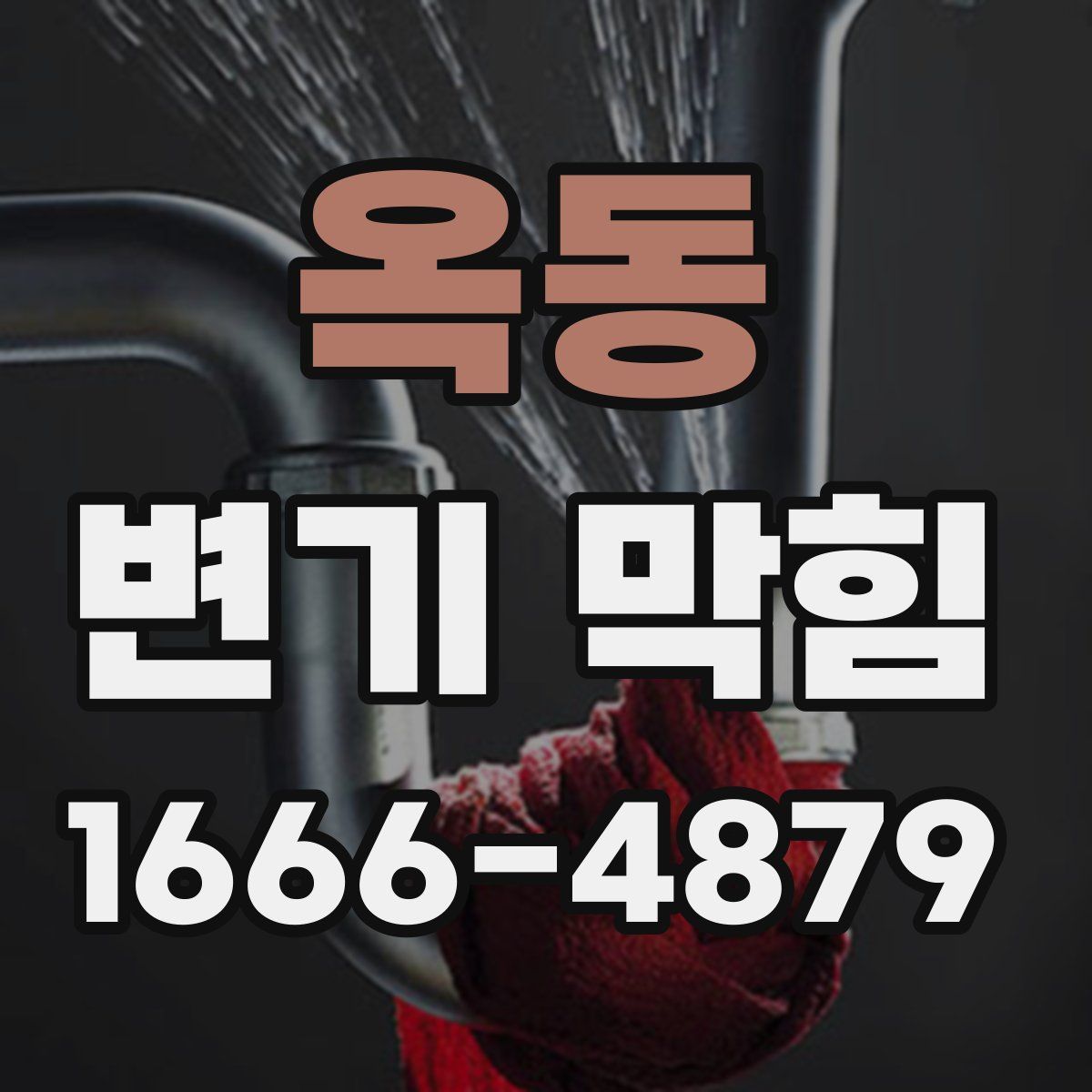 옥동 변기 막힘