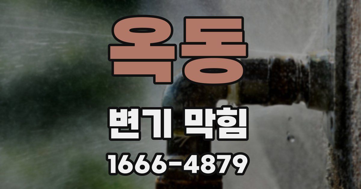 옥동 변기 막힘