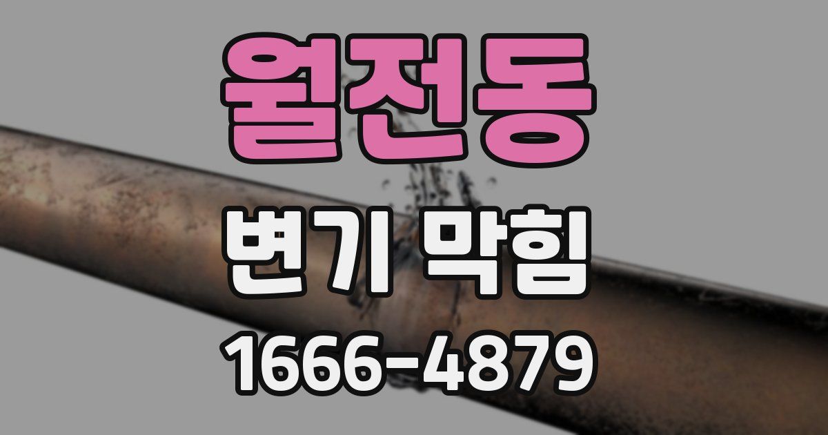 월전동 변기 막힘
