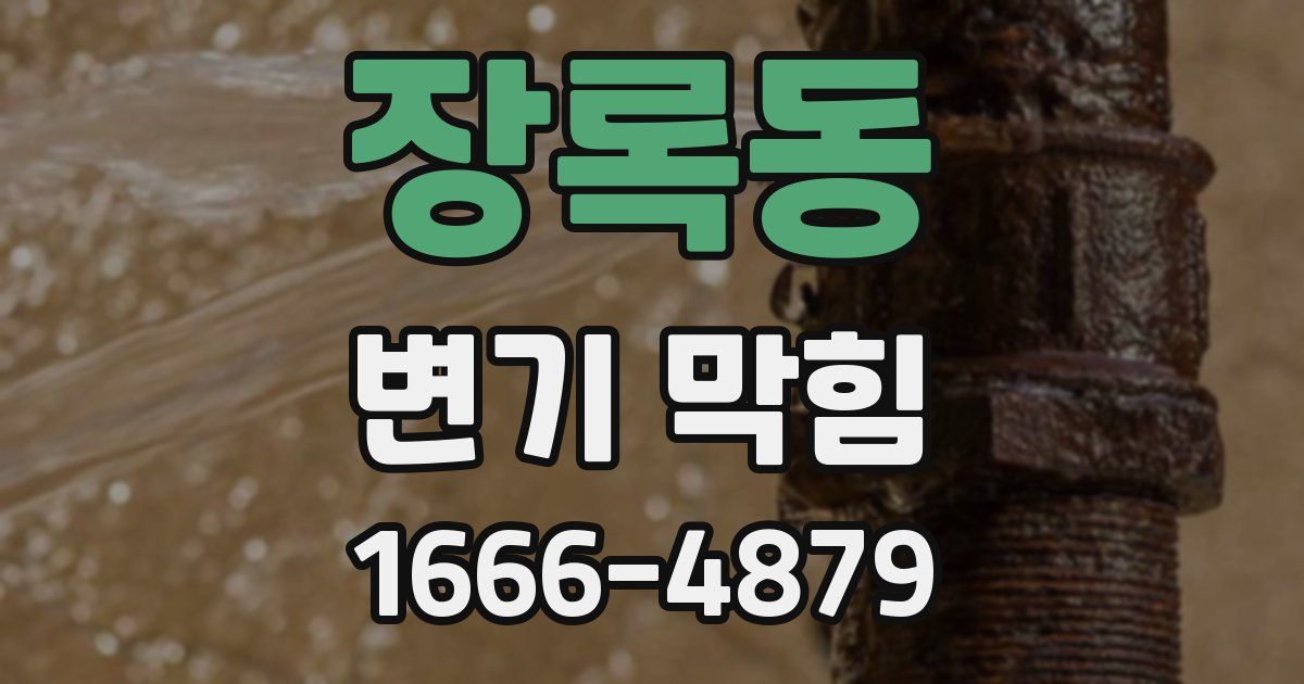 장록동 변기 막힘